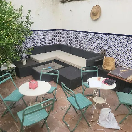 Andalusian Patio, Historic Center Cordoba