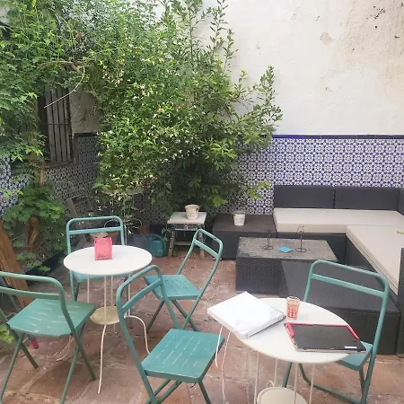 Andalusian Patio, Historic Center Cordoba